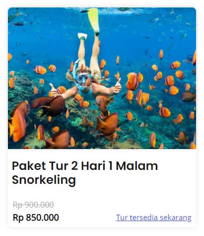 Paket Tour Wisata Nusa Penida Murah - 2 Hari 2 Malam Snorkeling