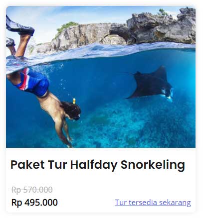 Paket Tour Wisata Nusa Penida Murah - Halfday Snorkeling